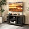 Gray TV Stand Media Console with Cable Management Adjustable Shelves Side Storage USB Charging